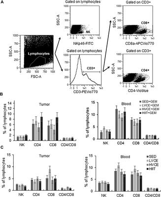 Comparison of three exercise interventions with and without gemcitabine treatment on pancreatic tumor growth in mice: No impact on tumor infiltrating lymphocytes